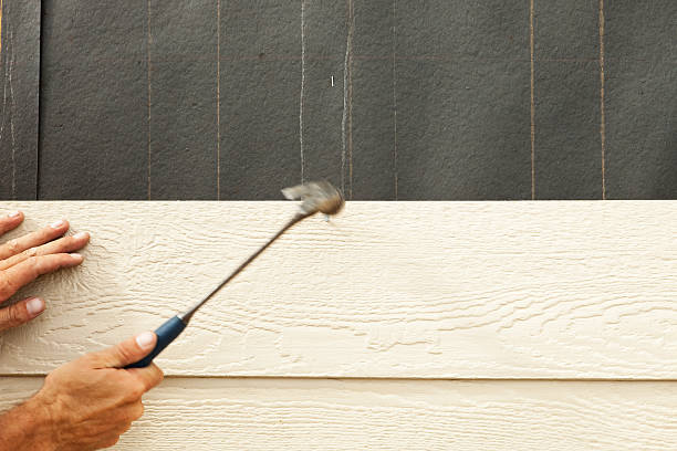 Best Vinyl Siding Installation  in Rio Communities, NM
